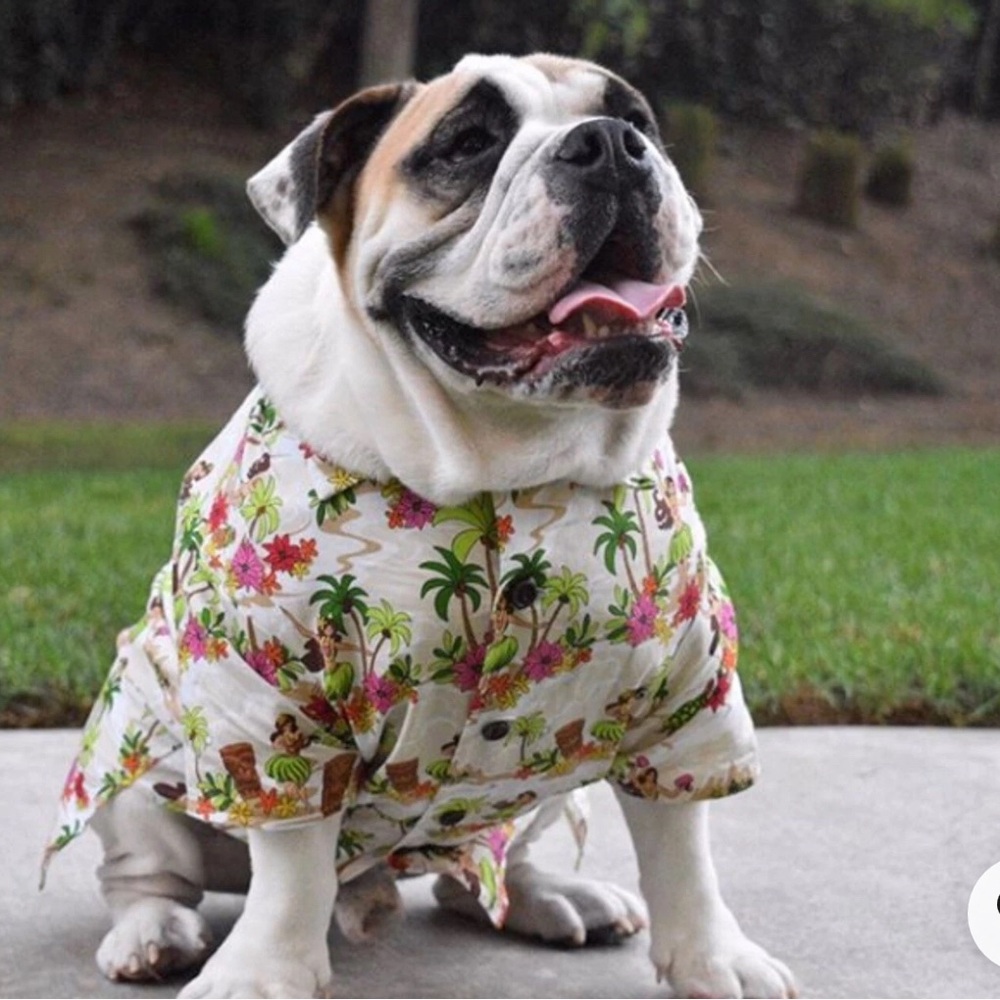 DOG THREADS HULA DANCERS TROPICAL PARTY DOG SHIRT Sm 15 lbs